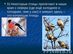 5) Некоторые птицы прилетают в наши края с севера (где ещё холоднее и голоднее,