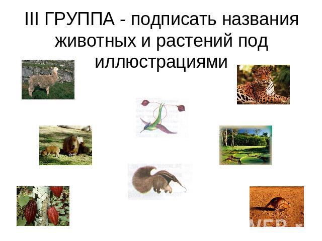 III ГРУППА - подписать названия животных и растений под иллюстрациями