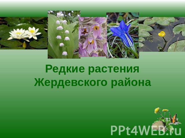 Редкие растения Жердевского района