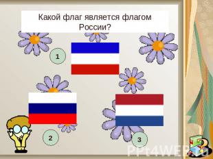 Какой флаг является флагом России?