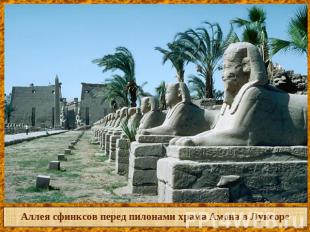 Аллея сфинксов перед пилонами храма Амона в Луксоре