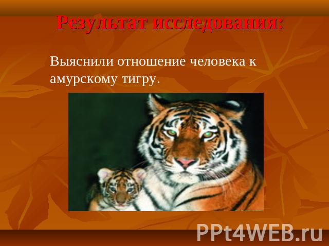 Результат исследования: Выяснили отношение человека к амурскому тигру.