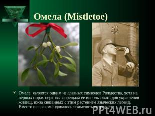 Омела (Mistletoe) Омела является одним из главных символов Рождества, хотя на пе