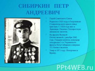 СИБИРКИН ПЕТР АНДРЕЕВИЧ Герой Советского СоюзаРодился в 1923 году в Георгиевске