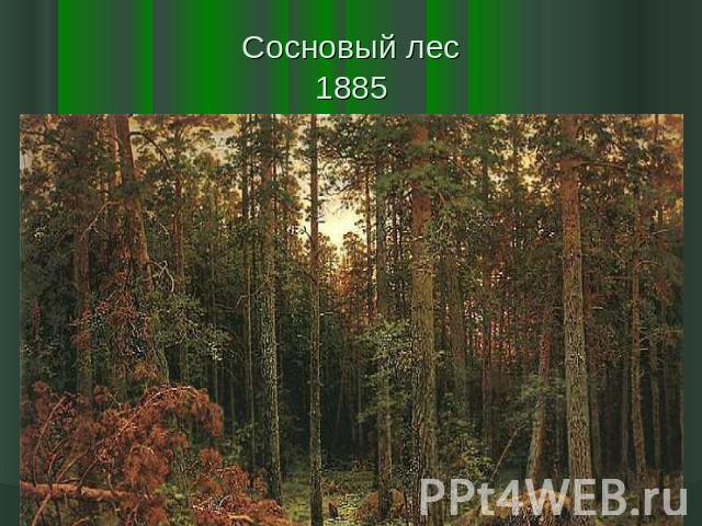 Сосновый лес1885