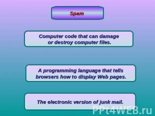 Spam Computer code that can damage or destroy computer files.A programming langu