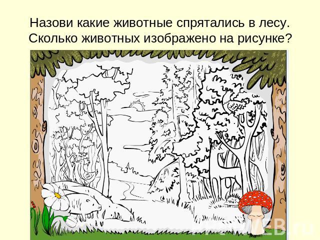 Назови какие животные спрятались в лесу. Сколько животных изображено на рисунке?