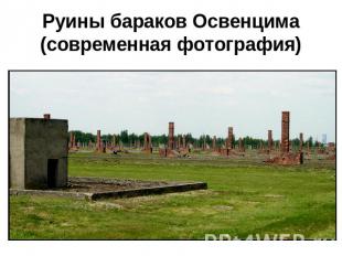Руины бараков Освенцима (современная фотография)