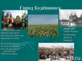 Город Будённовск Пшеницы играет полеЧерешни сады цветут.Наш город на ставрополье
