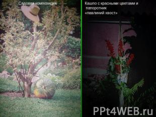 Садовая композицияКашпо с красными цветами и папоротник«павлиний хвост»