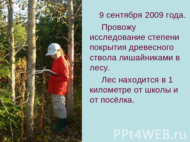 9 сентября 2009 года. Провожу исследование степени покрытия древесного ствола лишайниками в лесу. Лес находится в 1 километре от школы и от посёлка.