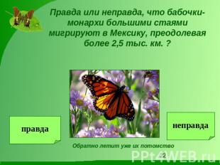 Правда или неправда, что бабочки-монархи большими стаями мигрируют в Мексику, пр