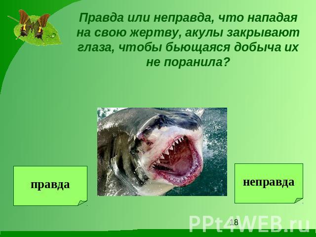 Правда или неправда, что нападая на свою жертву, акулы закрывают глаза, чтобы бьющаяся добыча их не поранила?