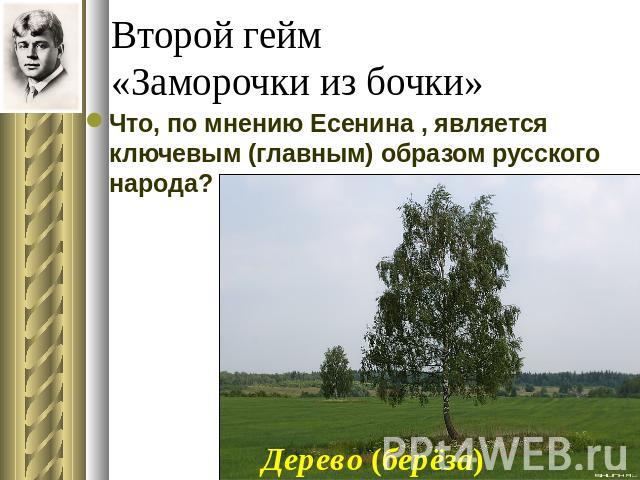 Второй гейм «Заморочки из бочки» Что, по мнению Есенина , является ключевым (главным) образом русского народа?Дерево (берёза)