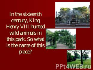 In the sixteenth century, King Henry VIII hunted wild animals in this park. So w