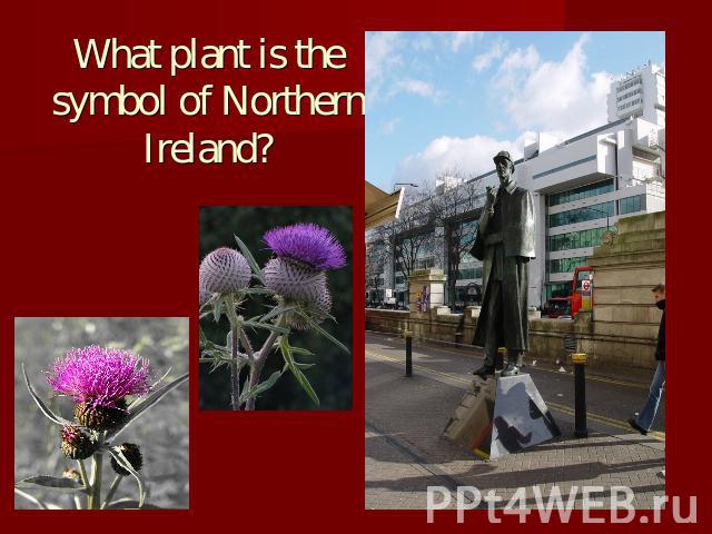What plant is the symbol of Northern Ireland?