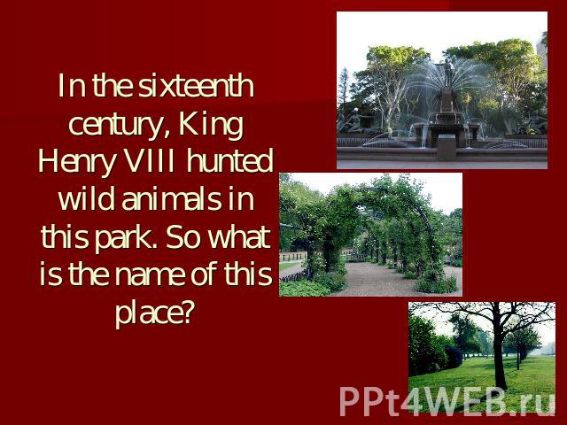 In the sixteenth century, King Henry VIII hunted wild animals in this park. So what is the name of this place?