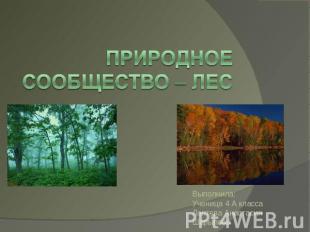 Природное сообщество – лес Выполнила:Ученица 4 А классаЛаптева Анастасия Шарыпов