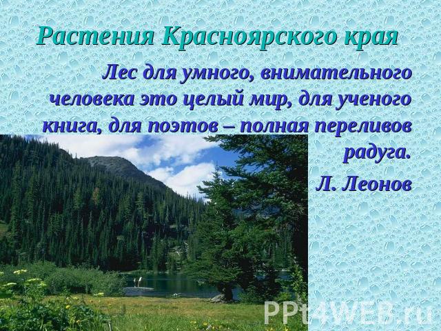 Растения Красноярского края Лес для умного, внимательного человека это целый мир, для ученого книга, для поэтов – полная переливов радуга. Л. Леонов