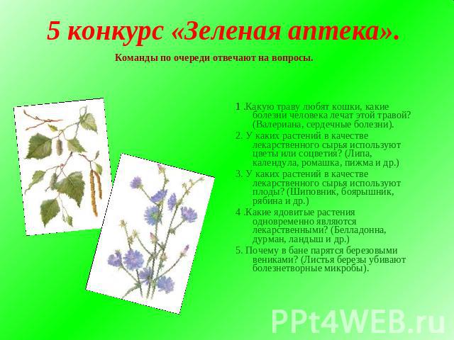 5 конкурс «Зеленая аптека». Команды по очереди отвечают на вопросы.1 .Какую траву любят кошки, какие болезни человека лечат этой травой? (Валериана, сердечные болезни).2. У каких растений в качестве лекарственного сырья используют цветы или соцветия…