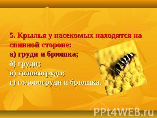 5. Крылья у насекомых находятся на спинной стороне:а) груди и брюшка;б) груди;в)