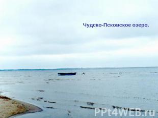 Чудско-Псковское озеро.