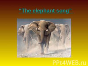 “The elephant song”