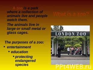 A zoo is a park where a collection of animals live and people watch them. The an
