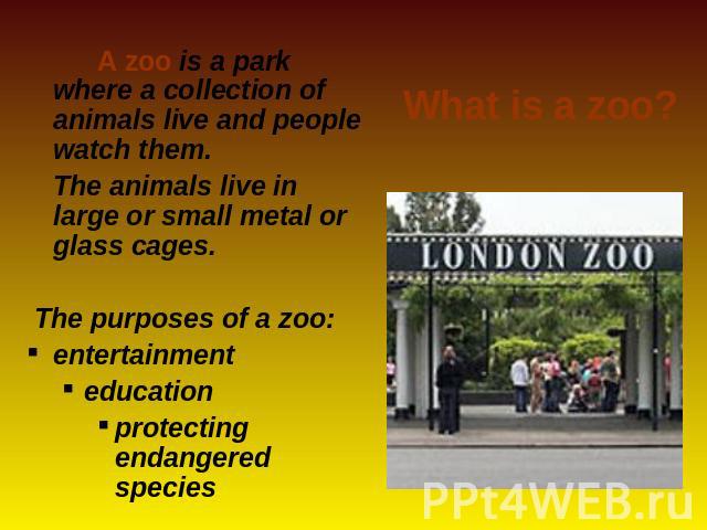 A zoo is a park where a collection of animals live and people watch them. The animals live in large or small metal or glass cages. The purposes of a zoo:entertainment educationprotecting endangered species What is a zoo?