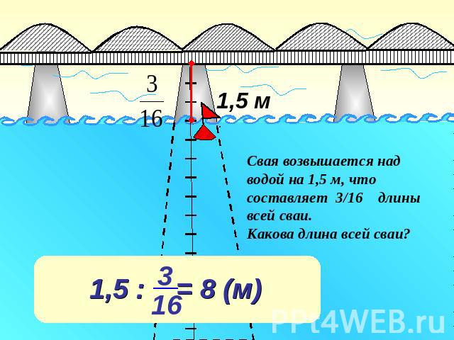Свая возвышается над водой на 1,5 м, что составляет 3/16 длины всей сваи.Какова длина всей сваи?