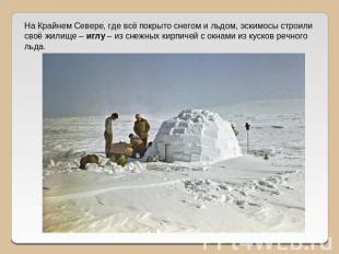 На Крайнем Севере, где всё покрыто снегом и льдом, эскимосы строили своё жилище