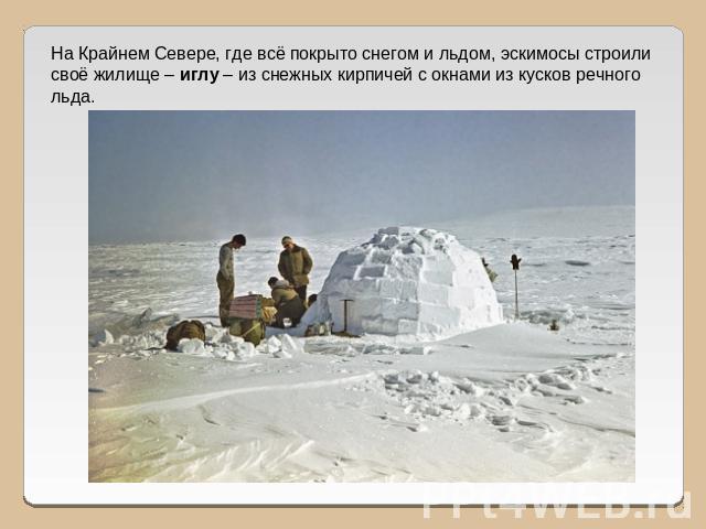 На Крайнем Севере, где всё покрыто снегом и льдом, эскимосы строили своё жилище – иглу – из снежных кирпичей с окнами из кусков речного льда.