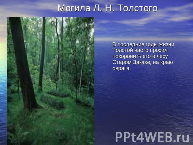Могила Л. Н. Толстого В последние годы жизни Толстой часто просил похоронить его в лесу Старом Заказе, на краю оврага.