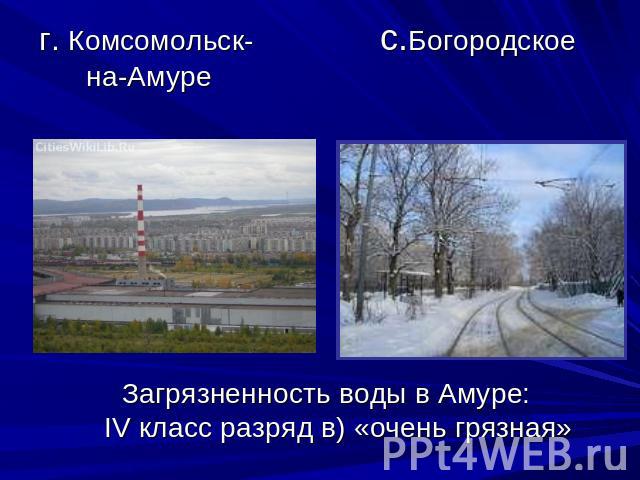 г. Комсомольск- с.Богородское на-Амуре Загрязненность воды в Амуре: IV класс разряд в) «очень грязная»