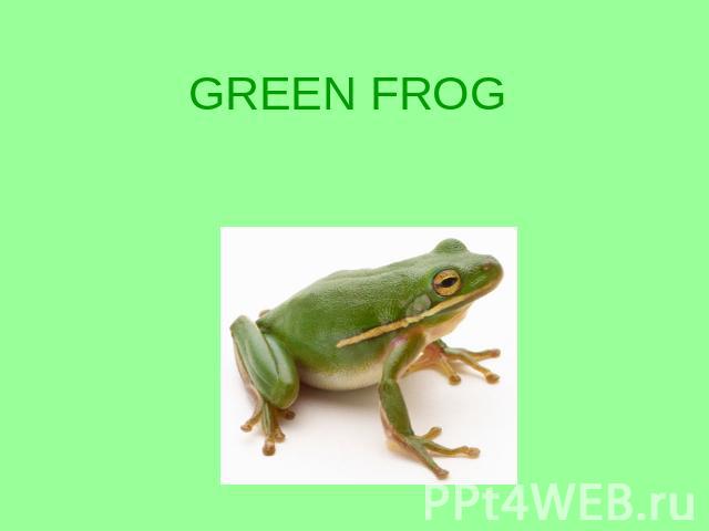 GREEN FROG