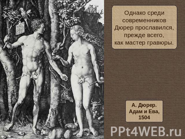 Однако средисовременниковДюрер прославился,прежде всего,как мастер гравюры.А. Дюрер.Адам и Ева,1504