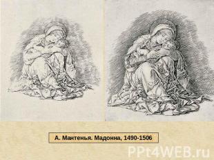 А. Мантенья. Мадонна, 1490-1506