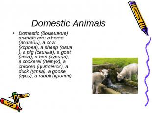 Domestic Animals Domestic (домашние) animals are: a horse (лошадь), a cow (коров