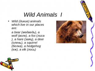 Wild Animals I Wild (дикие) animals which live in our places are: a bear (медвед