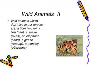 Wild Animals II Wild animals which don‘t live in our forests are: a tiger (тигр)