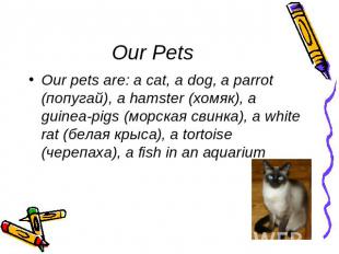 Our Pets Our pets are: a cat, a dog, a parrot (попугай), a hamster (хомяк), a gu