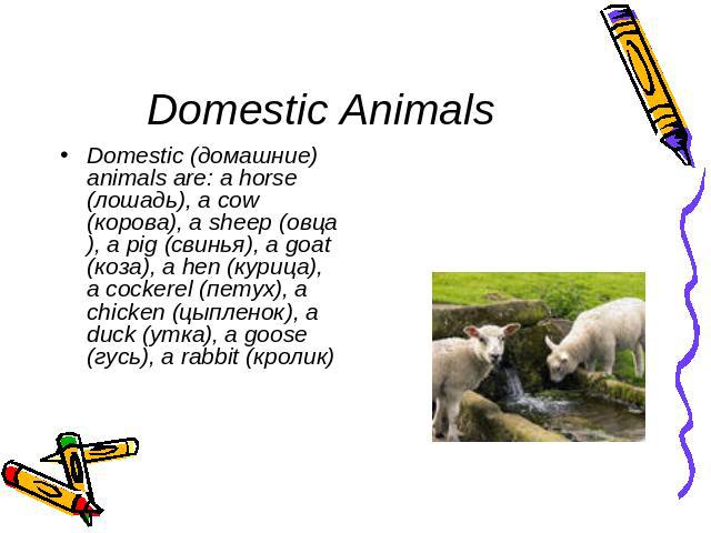Domestic Animals Domestic (домашние) animals are: a horse (лошадь), a cow (корова), a sheep (овца), a pig (свинья), a goat (коза), a hen (курица), a cockerel (петух), a chicken (цыпленок), a duck (утка), a goose (гусь), a rabbit (кролик)