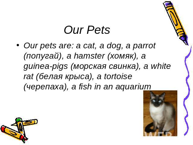 Our Pets Our pets are: a cat, a dog, a parrot (попугай), a hamster (хомяк), a guinea-pigs (морская свинка), a white rat (белая крыса), a tortoise (черепаха), a fish in an aquarium