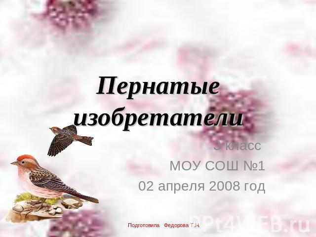Пернатые изобретатели 3 класс МОУ СОШ №102 апреля 2008 годПодготовила Федорова Т.Н.