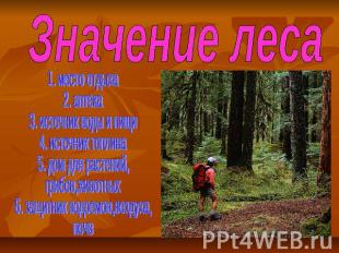 Значение леса 1. место отдыха2. аптека3. источник воды и пищи4. источник топлива