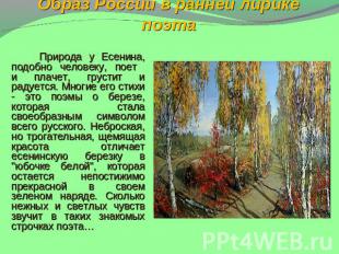 Образ России в ранней лирике поэта Природа у Есенина, подобно человеку, поет и п