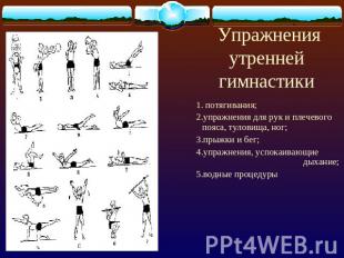 Упражненияутренней гимнастики 1. потягивания;2.упражнения для рук и плечевого по