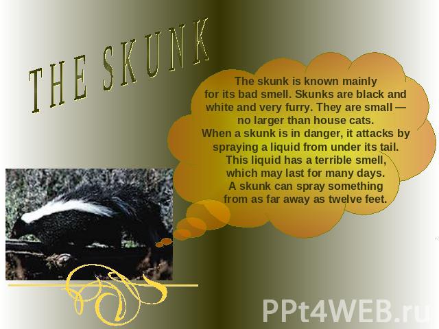 THE SKUNKThe skunk is known mainlyfor its bad smell. Skunks are black and white and very furry. They are small — no larger than house cats.When a skunk is in danger, it attacks by spraying a liquid from under its tail. This liquid has a terrible sme…