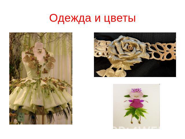 Одежда и цветы