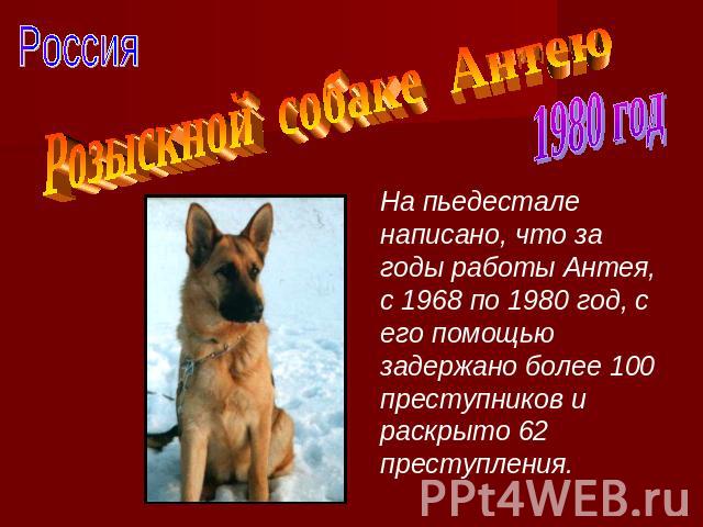 РоссияРозыскной собаке АнтеюНа пьедестале написано, что за годы работы Антея, с 1968 по 1980 год, с его помощью задержано более 100 преступников и раскрыто 62 преступления.